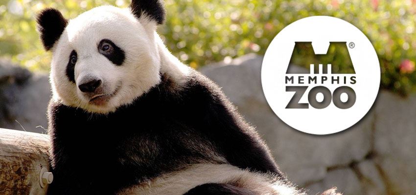 memphis_zoo