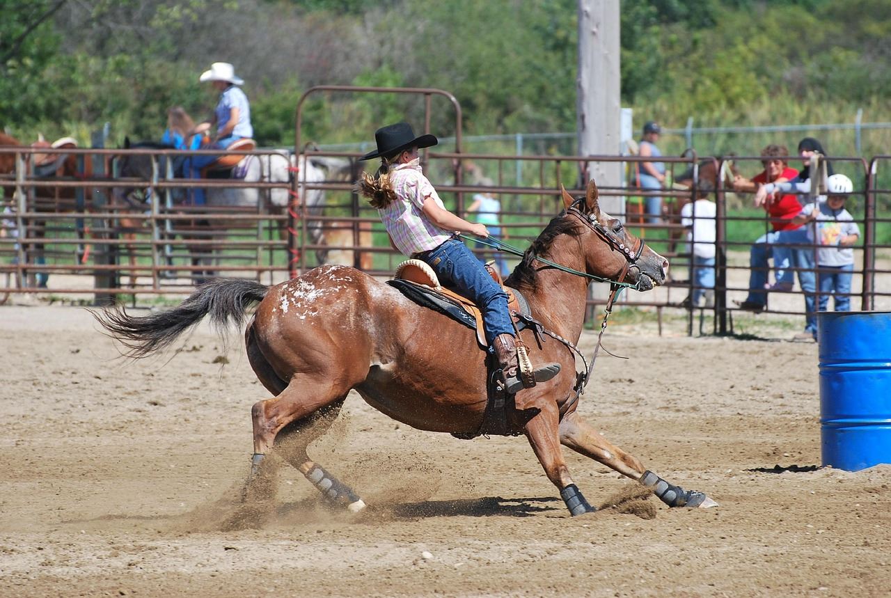 barrel-racing-3910196_1280